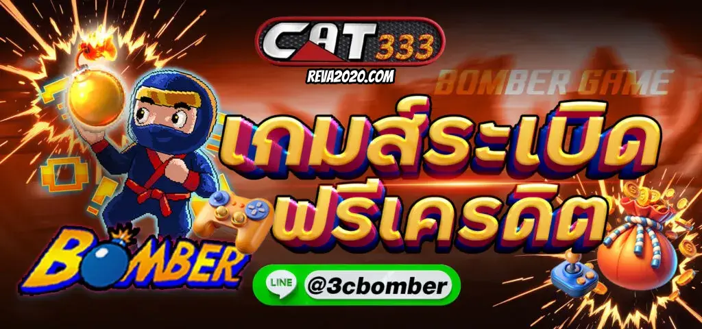 cat333